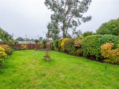 Picture 22